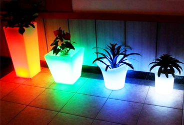 塑料托盤(pán)定制