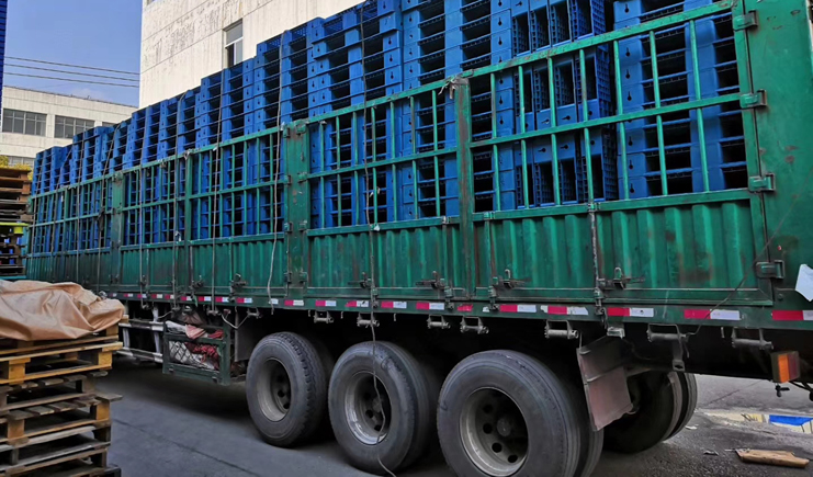 直擊！塑料托盤廠家的最新影像！