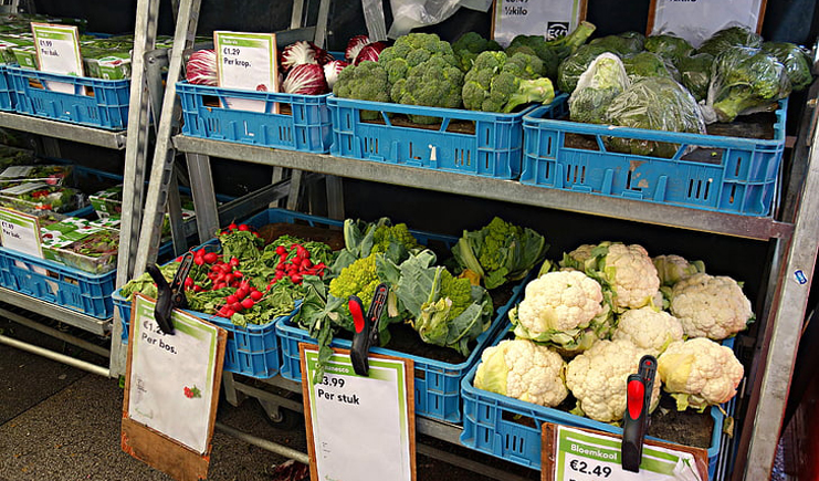 水果塑料周轉(zhuǎn)箱筐批發(fā)，快到筐里來！