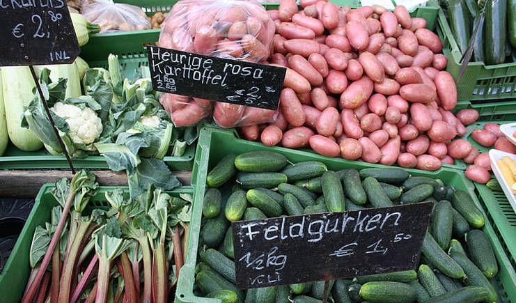 蔬菜水果塑料周轉(zhuǎn)筐，帶你玩轉(zhuǎn)不一樣的周轉(zhuǎn)筐