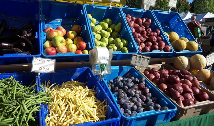 為何從大企業(yè)到小攤小販都離不開塑料周轉箱？