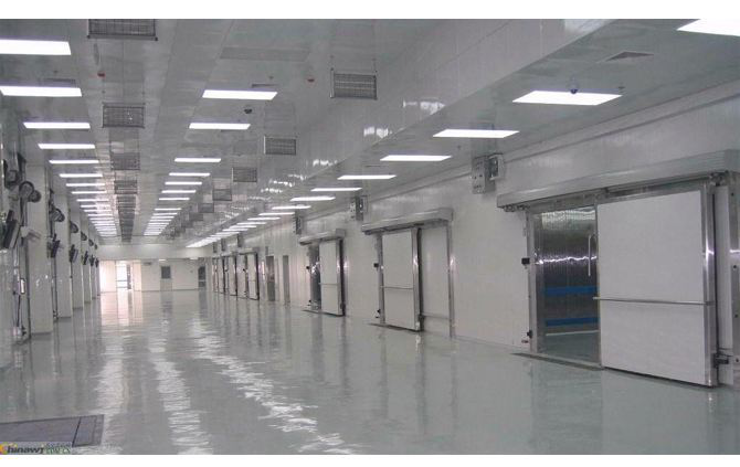 這款塑料托盤打入“冷宮”，也能混的如魚得水？